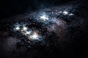 empleado de forma ilegal