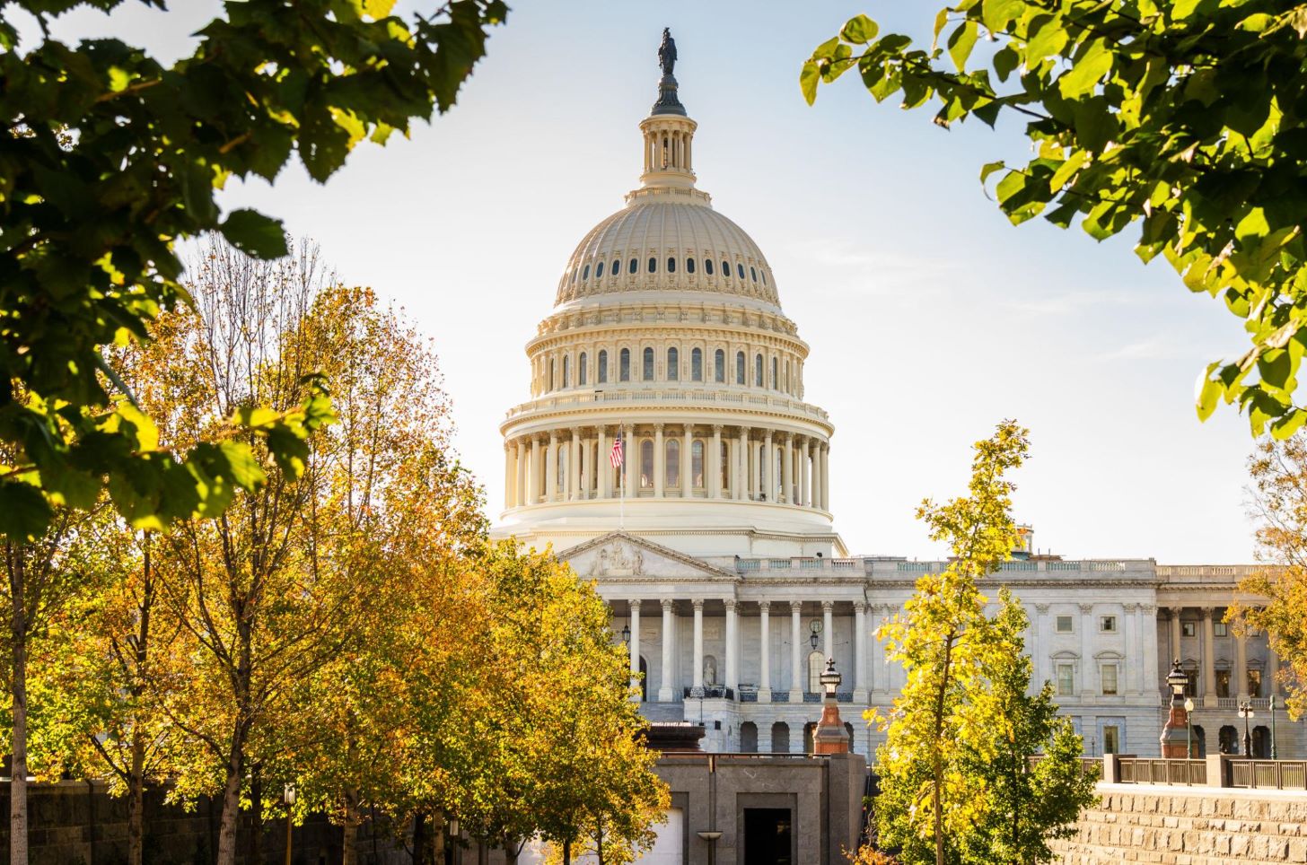 elecciones al Senado de Estados Unidos